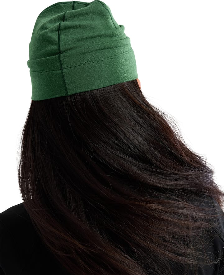 Arc'teryx Rho Lightweight Wool Toque Black / Arc'teryx Beanie